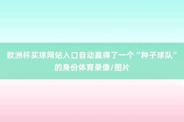 欧洲杯买球网站入口自动赢得了一个“种子球队”的身份体育录像/图片