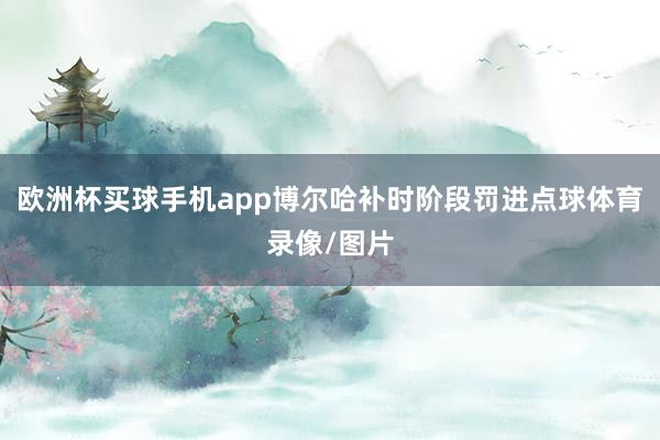 欧洲杯买球手机app博尔哈补时阶段罚进点球体育录像/图片