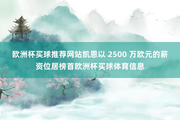 欧洲杯买球推荐网站凯恩以 2500 万欧元的薪资位居榜首欧洲杯买球体育信息