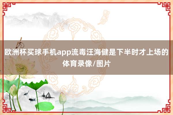 欧洲杯买球手机app流毒汪海健是下半时才上场的体育录像/图片