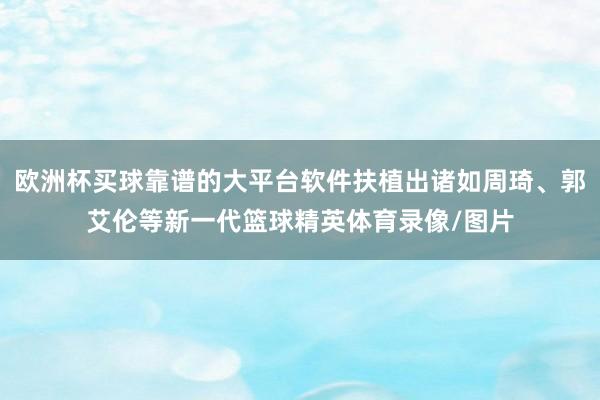 欧洲杯买球靠谱的大平台软件扶植出诸如周琦、郭艾伦等新一代篮球精英体育录像/图片