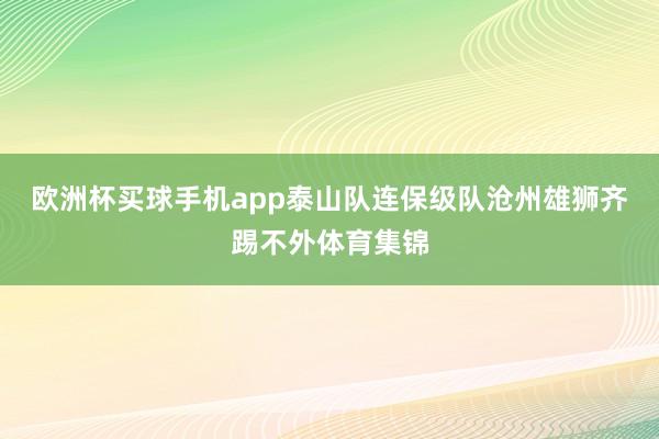 欧洲杯买球手机app泰山队连保级队沧州雄狮齐踢不外体育集锦