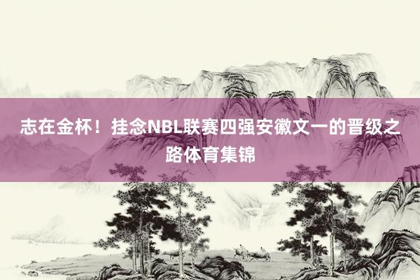 志在金杯！挂念NBL联赛四强安徽文一的晋级之路体育集锦