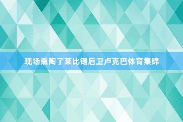 现场熏陶了莱比锡后卫卢克巴体育集锦